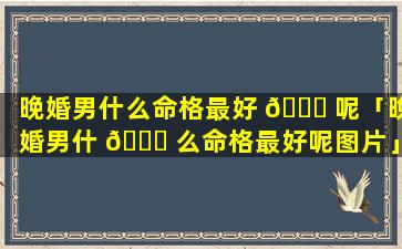 晚婚男什么命格最好 🐅 呢「晚婚男什 🐒 么命格最好呢图片」